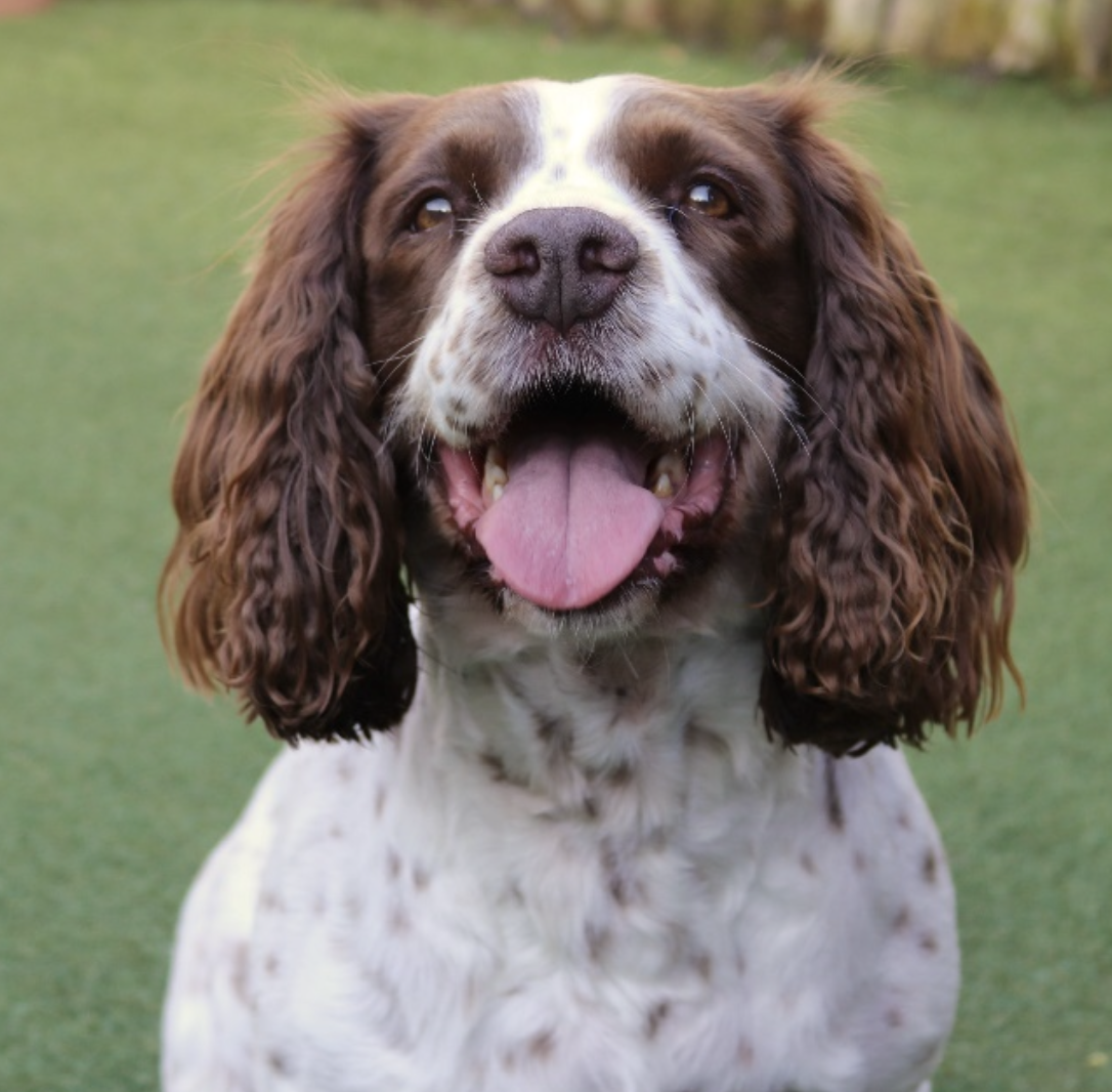 Screen Shot 2022-02-22 at 11.56.10 AM