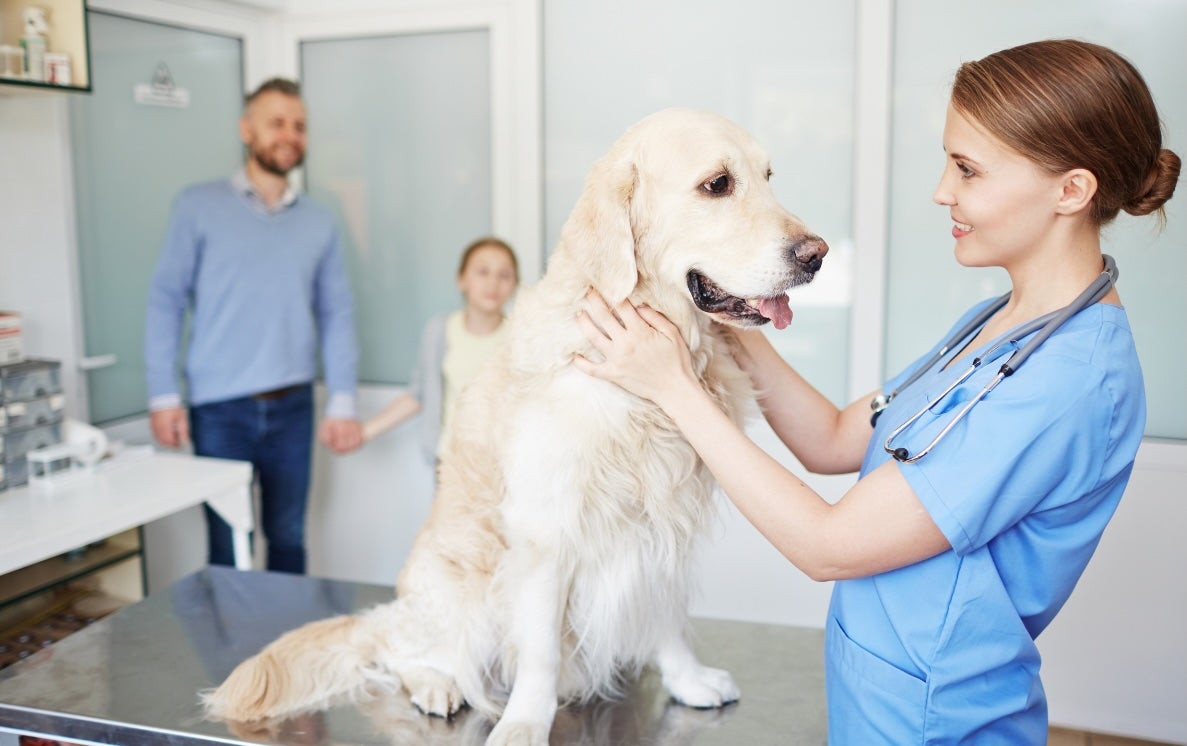 International Day International Day