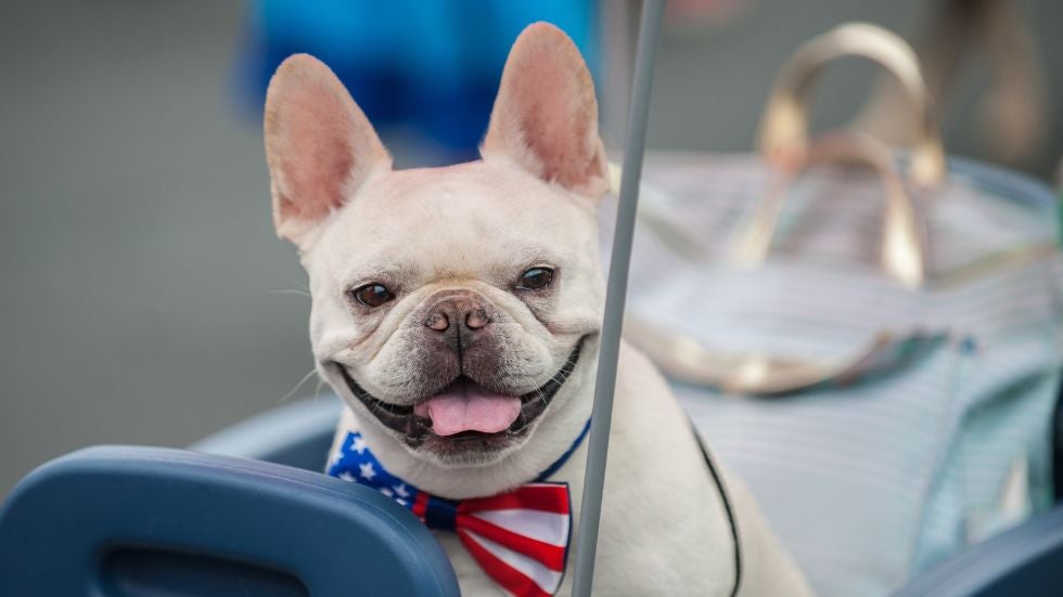 4th of July 4th of July