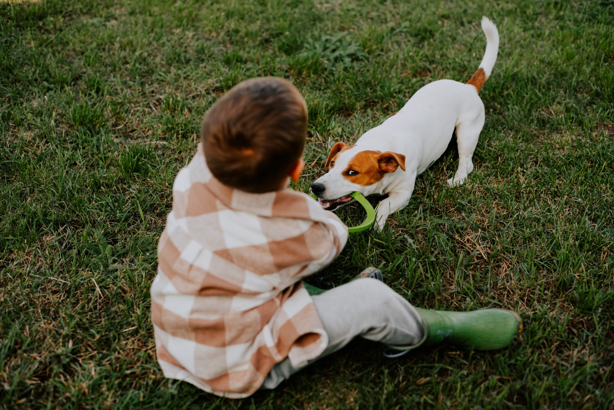 kateryna-hliznitsova-gTMiaAFR268-unsplash