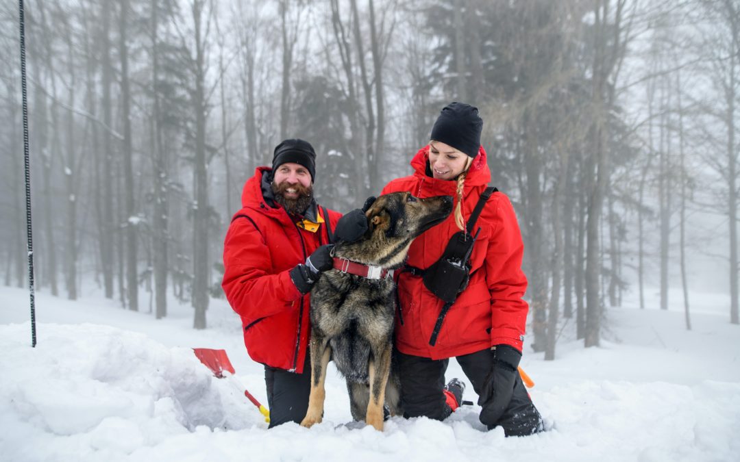 couple in red snow jackets in the snow embracing their german shepherd dog